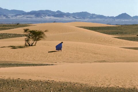 Western Sahara